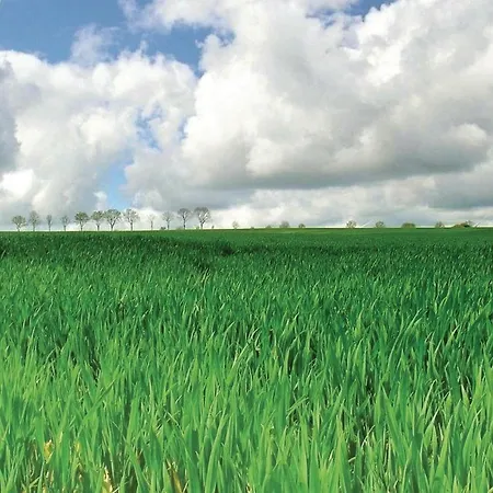 Casa de Férias Cozy In With Kitchen *