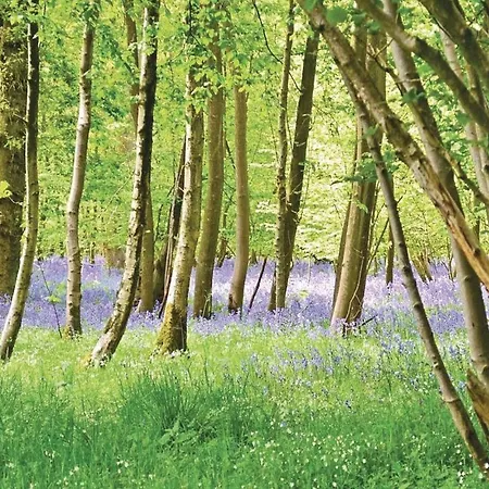 Casa de Férias Cozy In With Kitchen